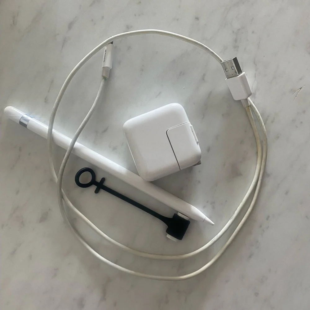 iPad mini 1